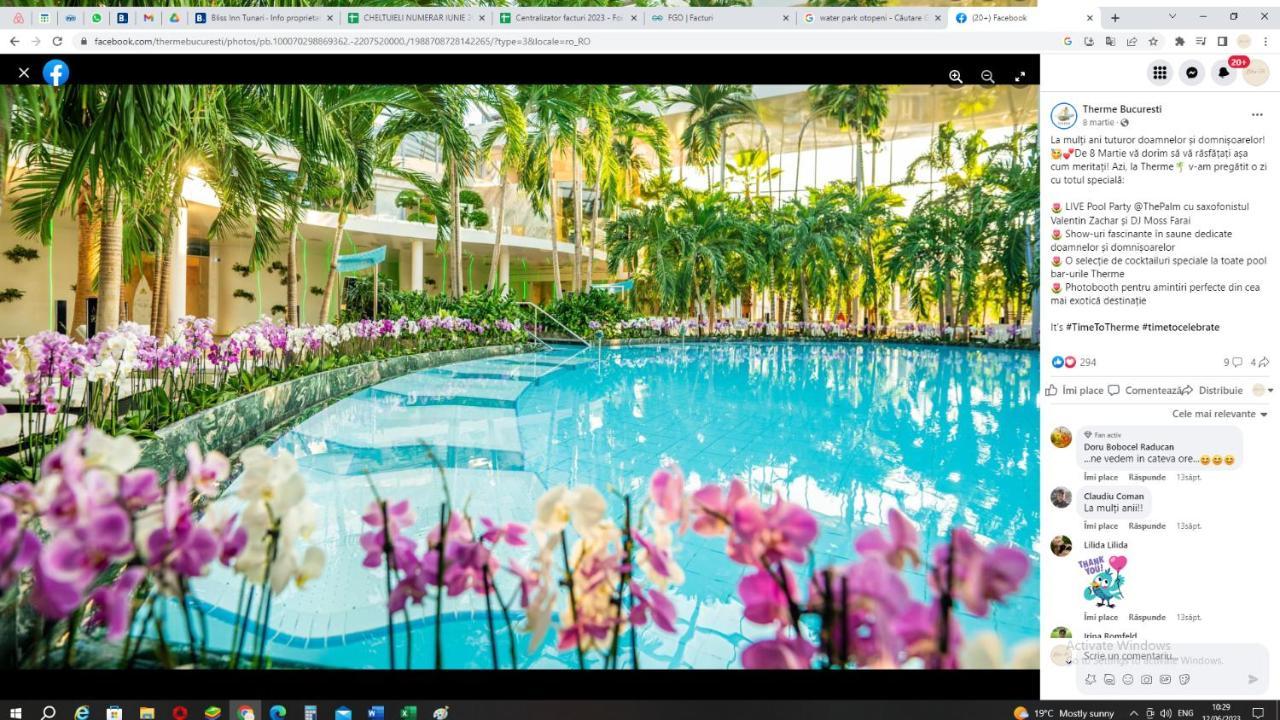 Bliss Inn Tunari Voluntari Exteriér fotografie